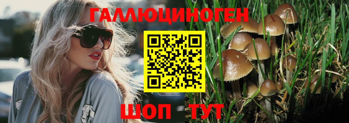 Галлюциногенные грибы Cubensis  Вход с VPN  Курган 