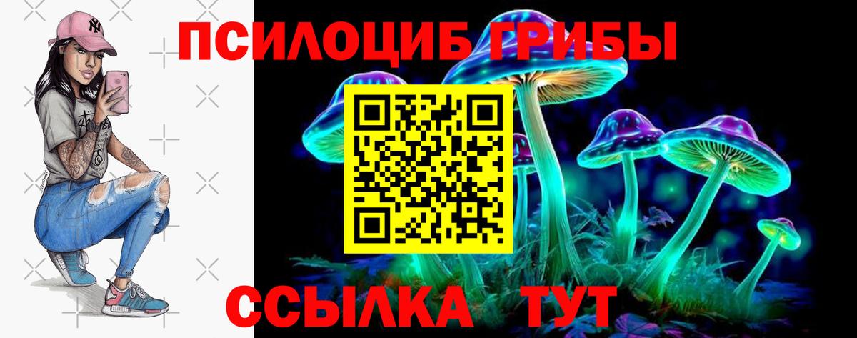 Псилоцибиновые грибы Psilocybine cubensis Курган